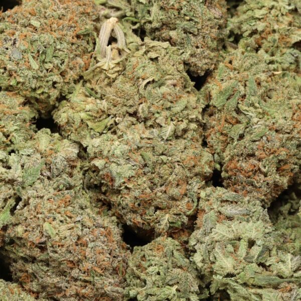 Alaskan-thunderfuck-wholesale-1-600x600