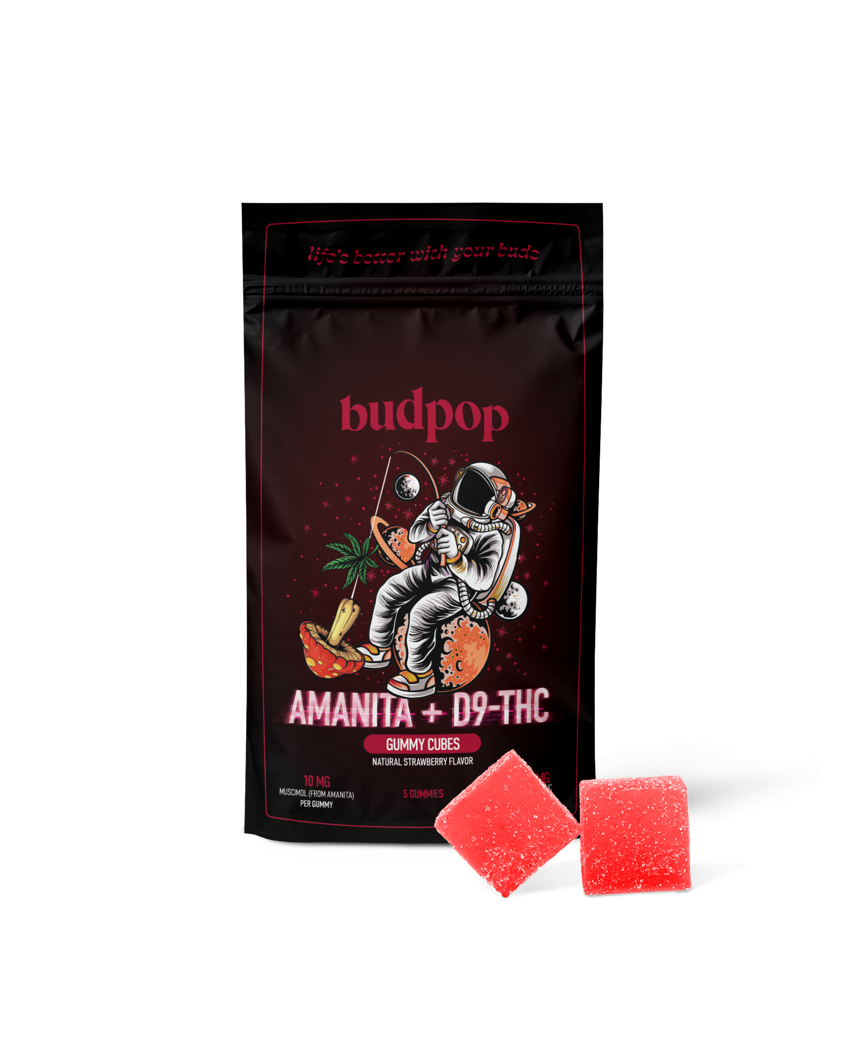 BP-AMNTA-D9-GUM-BAG-FRONT