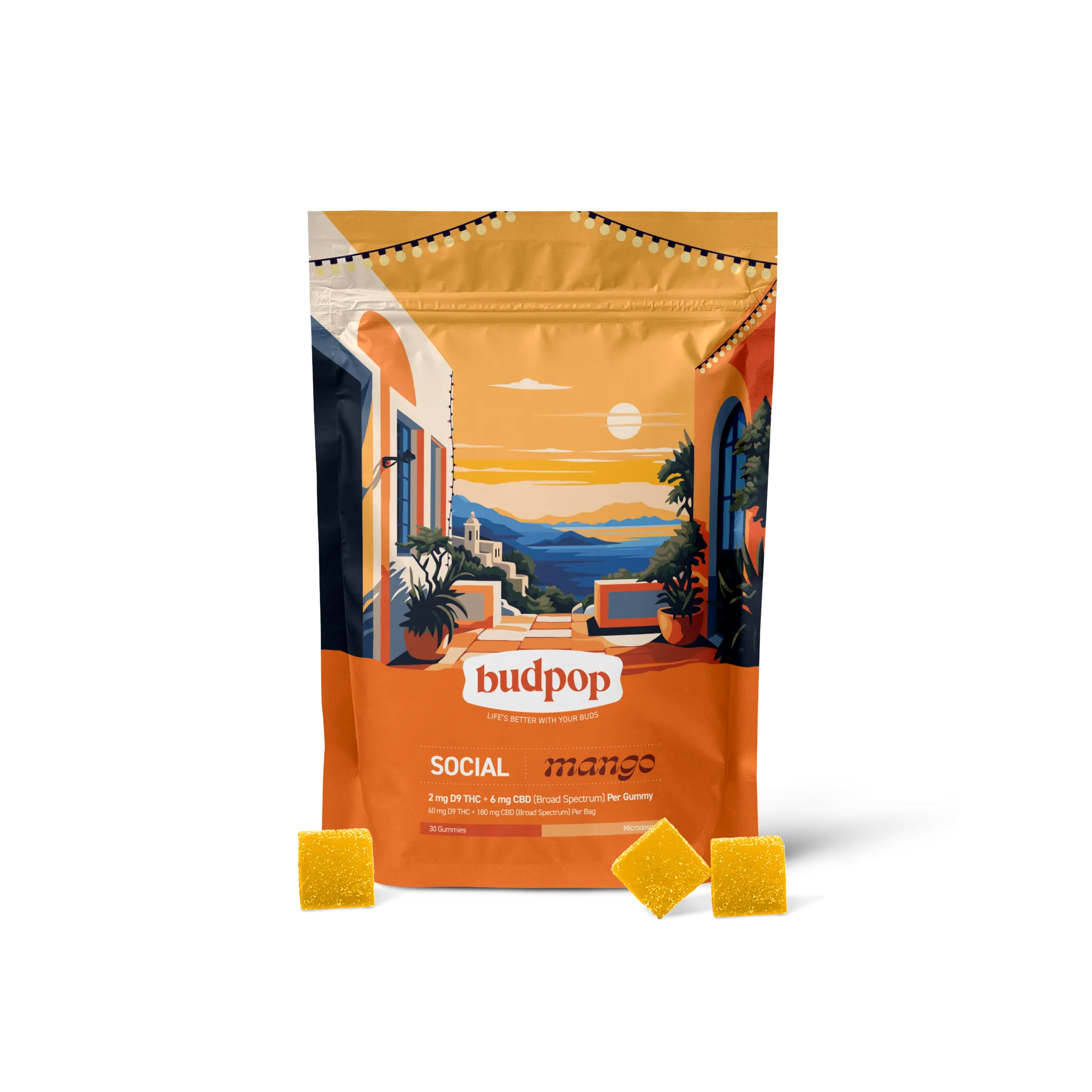 BP-D9CBD-GUM-BAG-FRONT-1