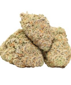 Candyland
