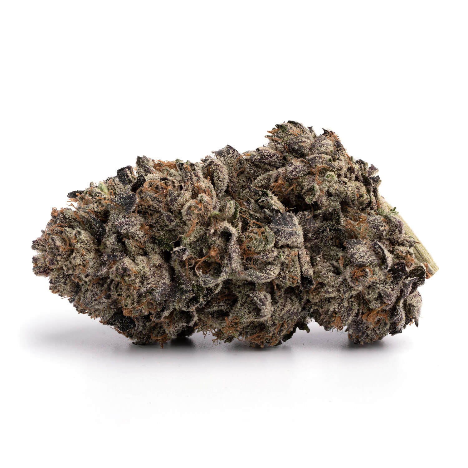 Grand-Daddy-Purple-2
