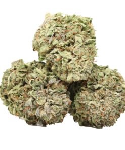 Purple Urkle strain