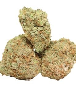 Romulan