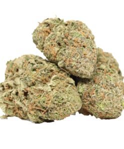 Blueberry AK