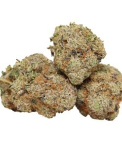 Butterscotch