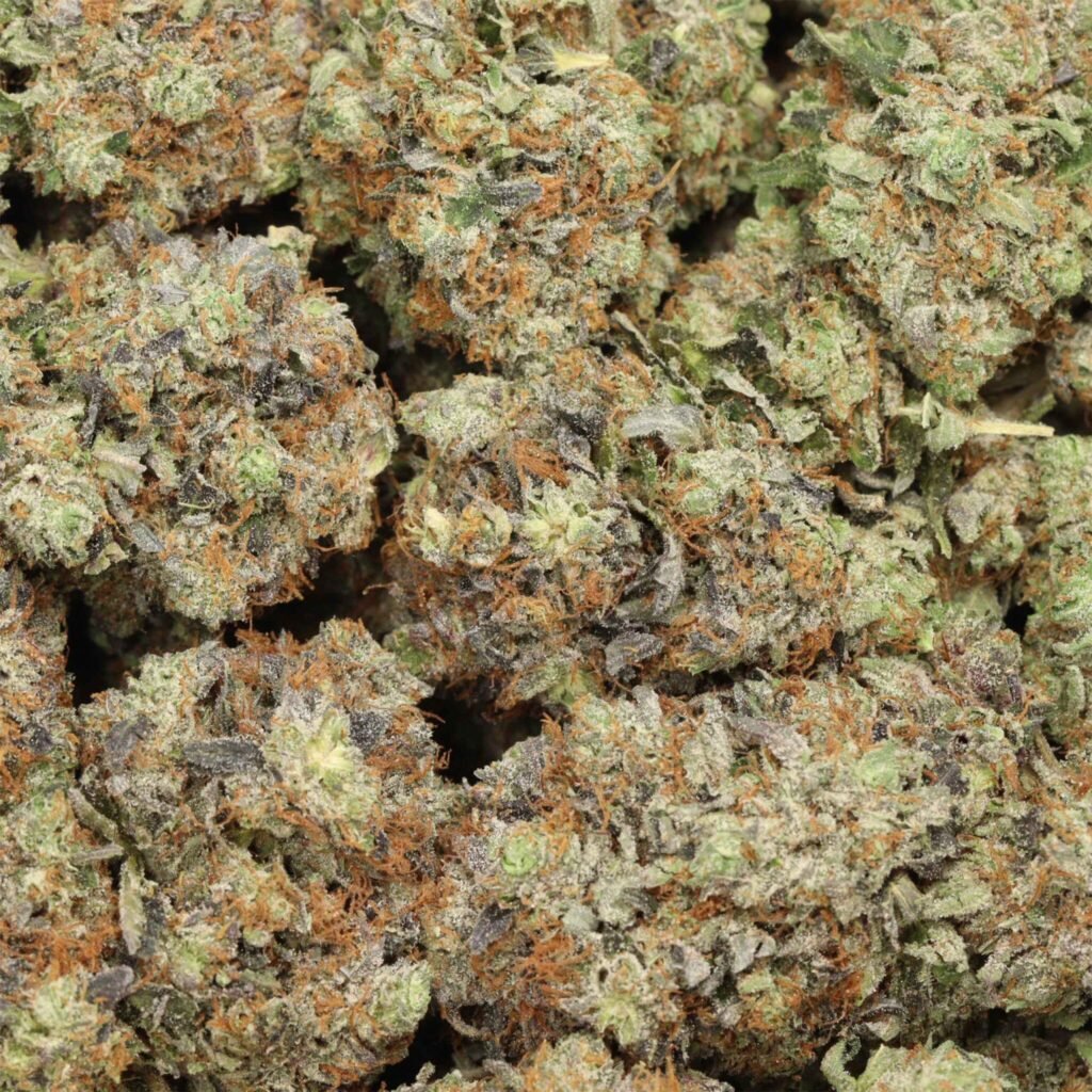 Premium Marijuana for Sale in Bulk